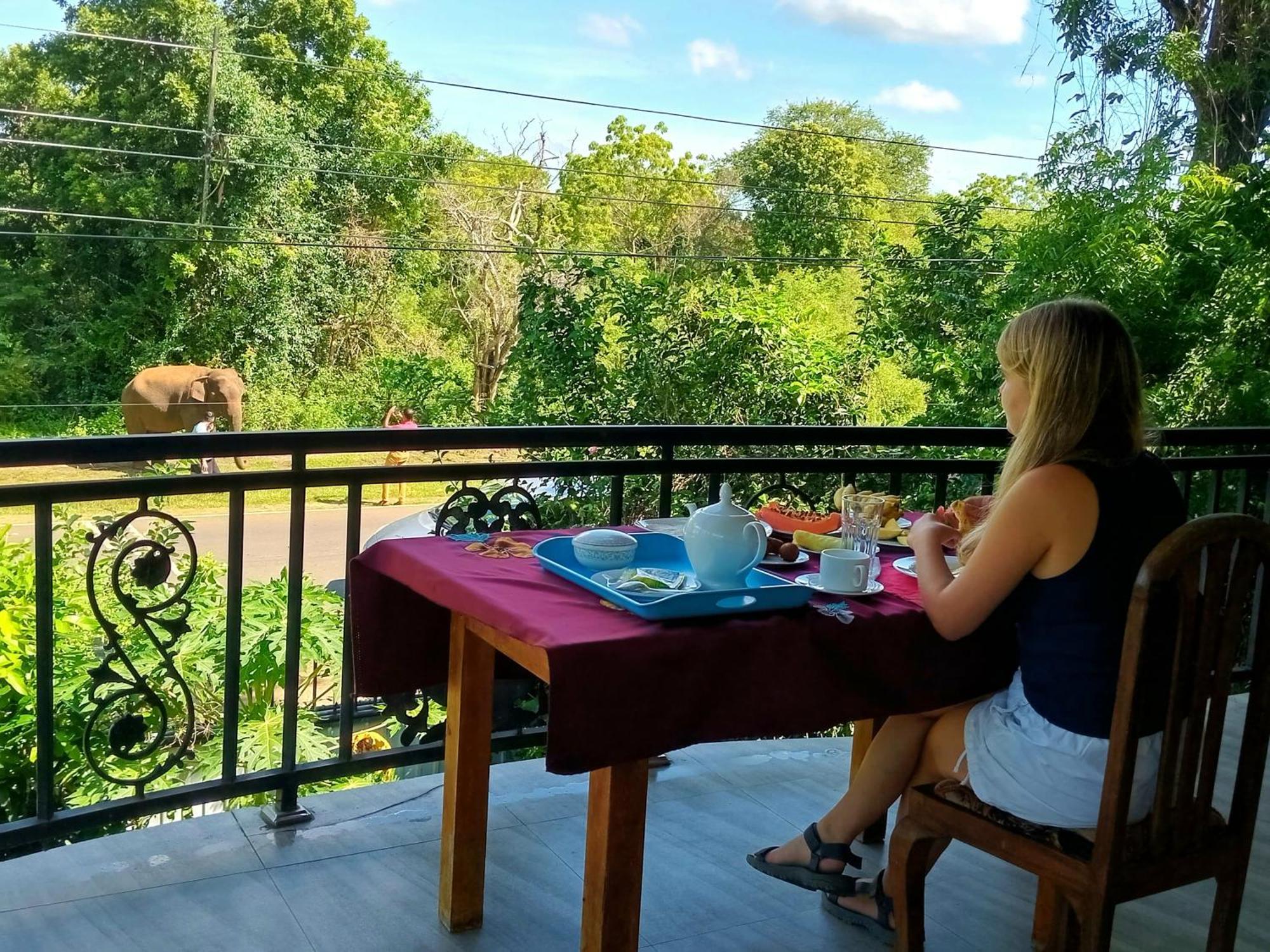 Peacock Villa Resort Удавалаве Экстерьер фото